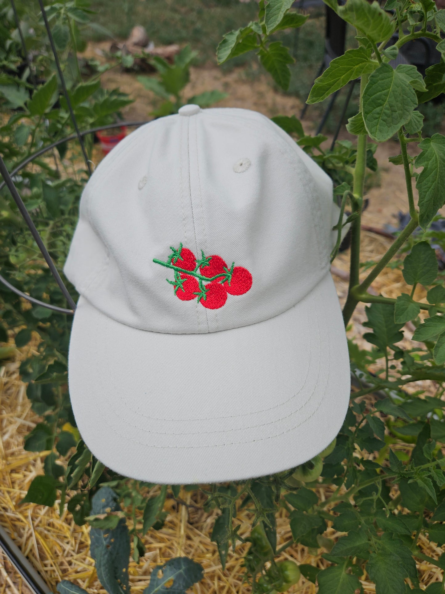 Embroidered Cherry Tomato Dad Hat