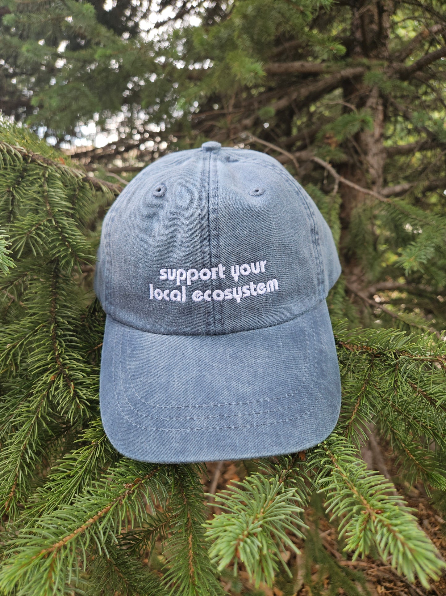 'Support Your Local Ecosystem' Dad Hat