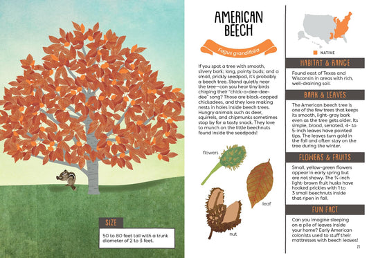 A Kid's Guide to Backyard Trees by Felicia Brower