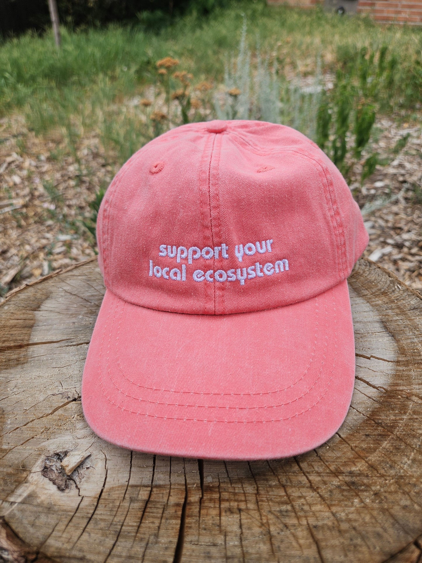 'Support Your Local Ecosystem' Dad Hat